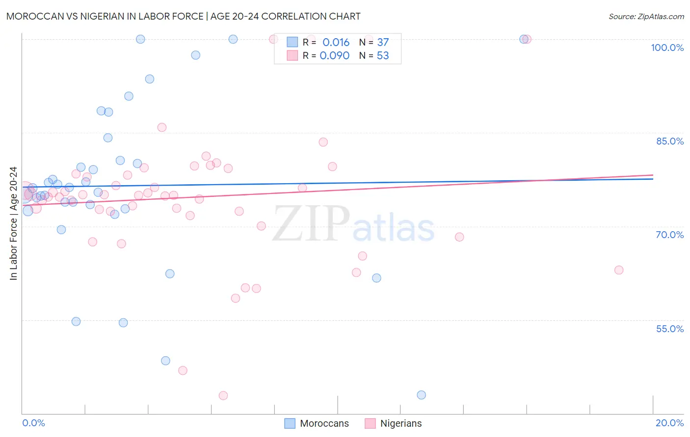 Moroccan vs Nigerian In Labor Force | Age 20-24