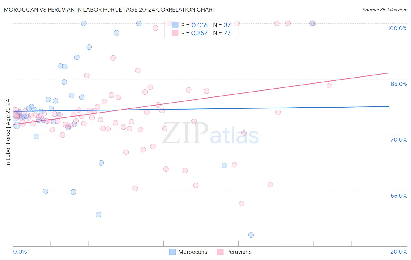 Moroccan vs Peruvian In Labor Force | Age 20-24