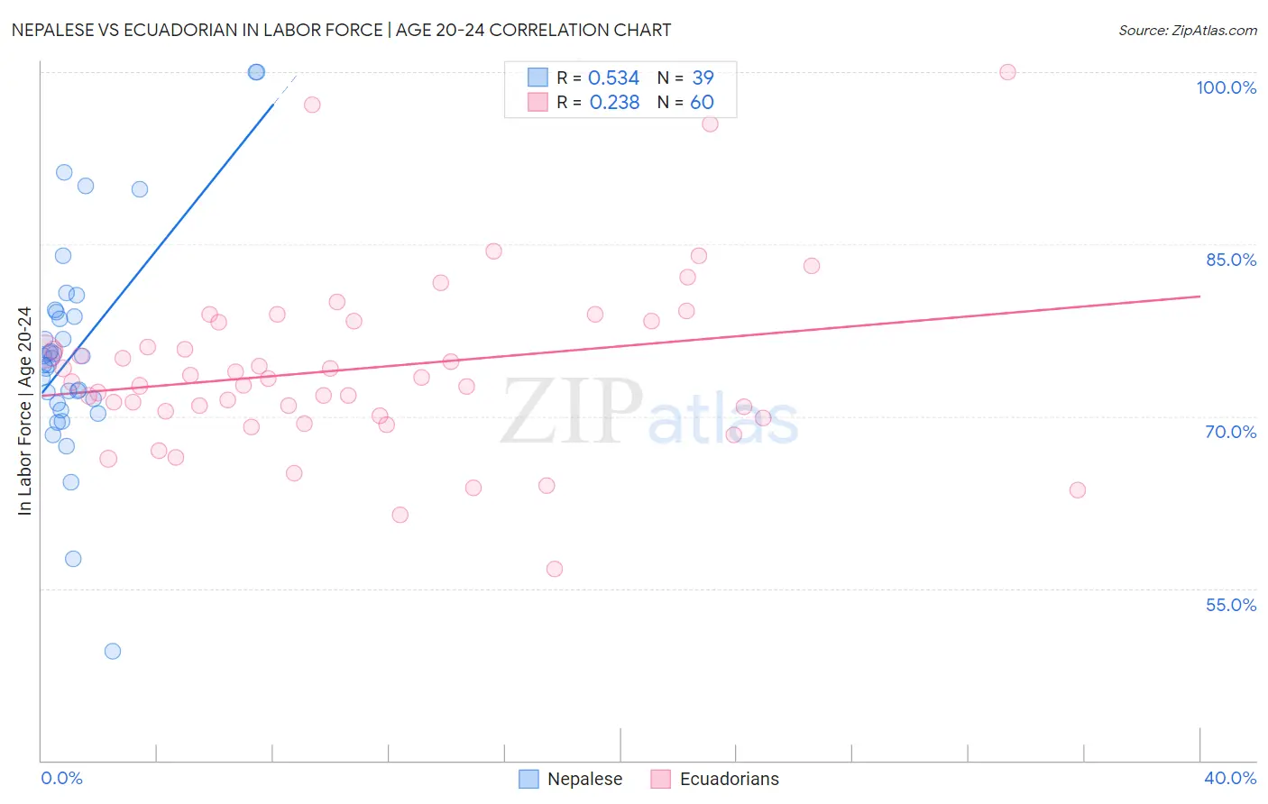 Nepalese vs Ecuadorian In Labor Force | Age 20-24