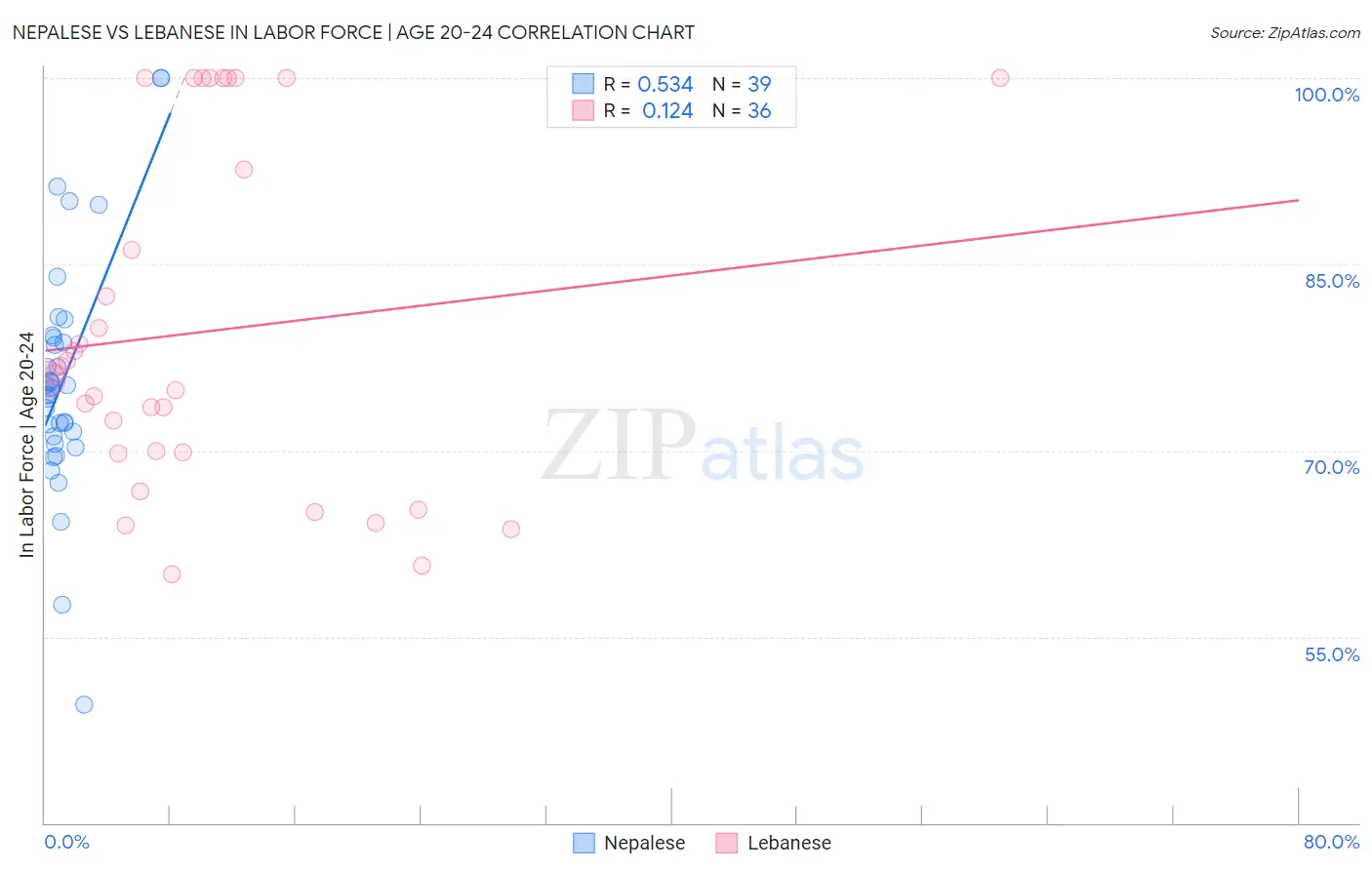 Nepalese vs Lebanese In Labor Force | Age 20-24