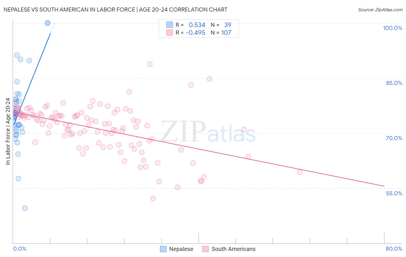 Nepalese vs South American In Labor Force | Age 20-24