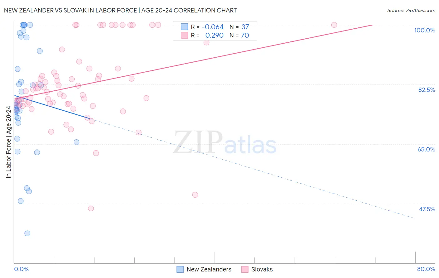 New Zealander vs Slovak In Labor Force | Age 20-24