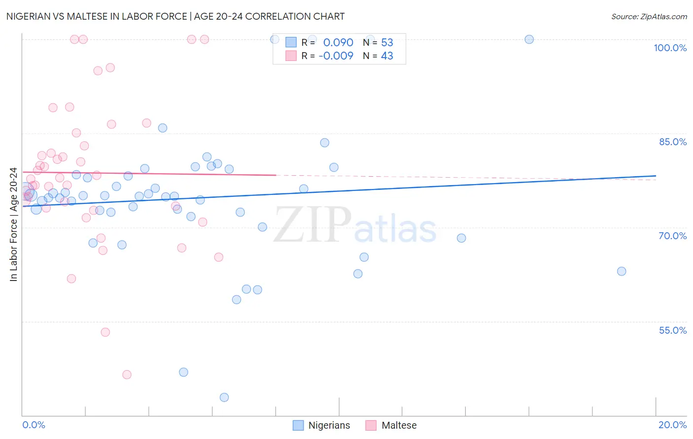 Nigerian vs Maltese In Labor Force | Age 20-24