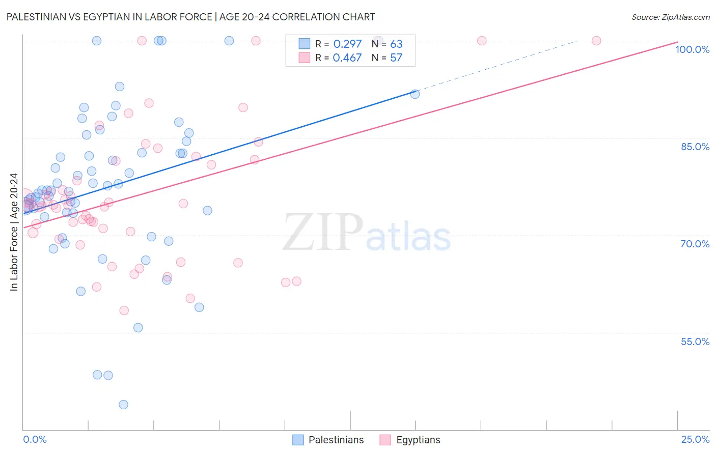 Palestinian vs Egyptian In Labor Force | Age 20-24