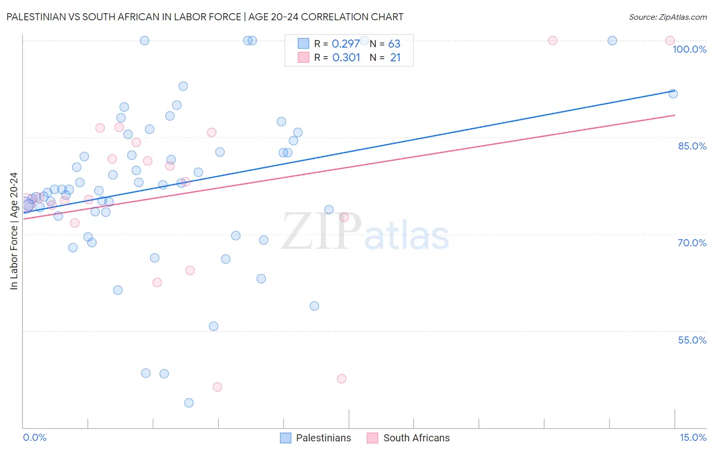 Palestinian vs South African In Labor Force | Age 20-24