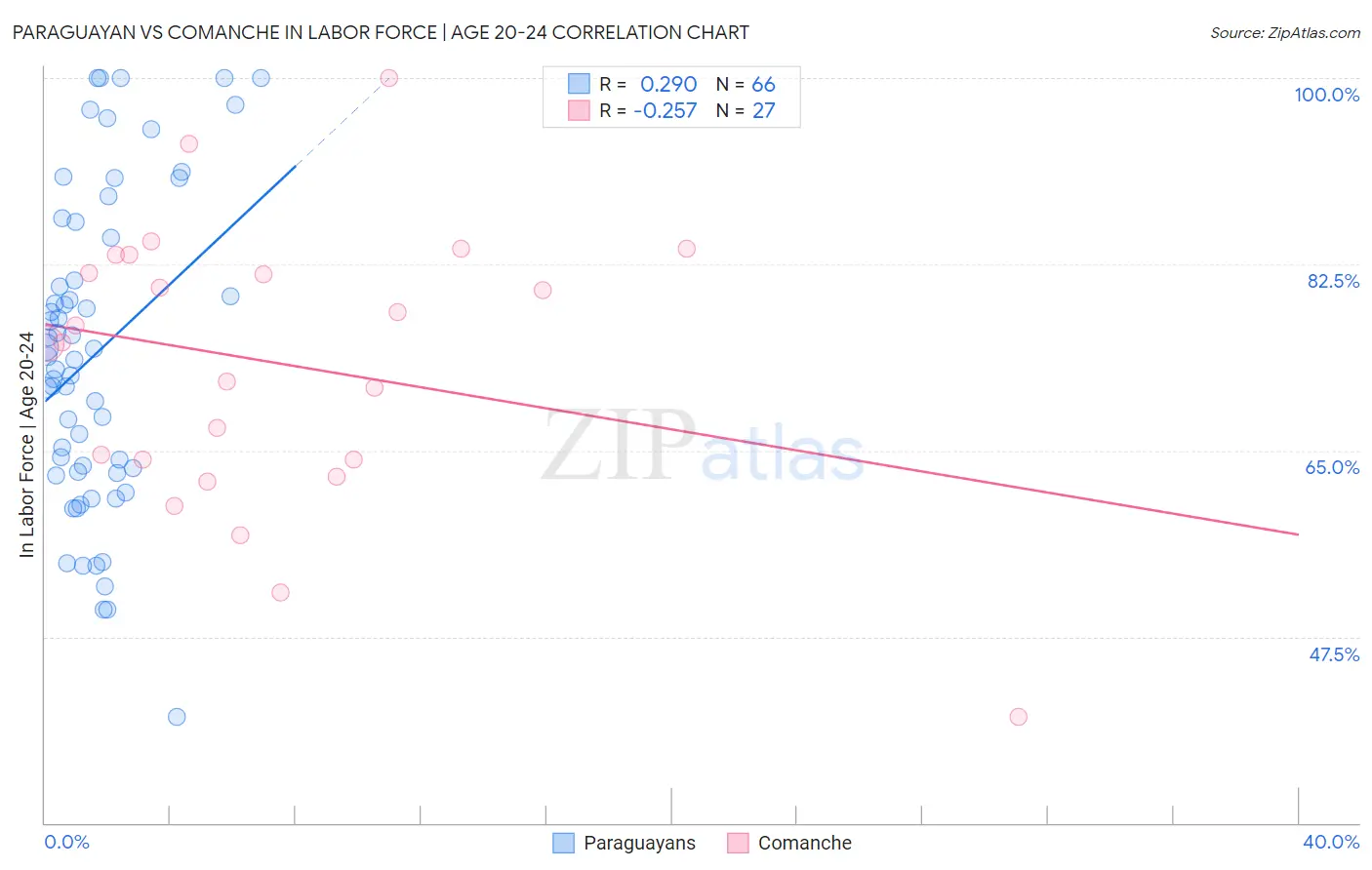 Paraguayan vs Comanche In Labor Force | Age 20-24