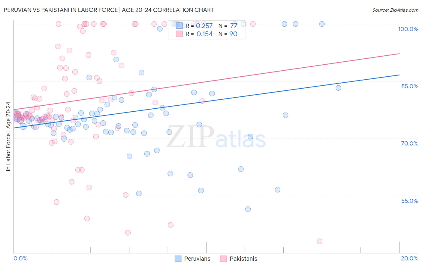 Peruvian vs Pakistani In Labor Force | Age 20-24