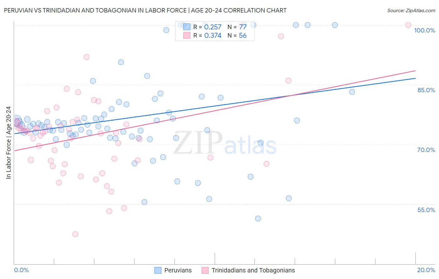 Peruvian vs Trinidadian and Tobagonian In Labor Force | Age 20-24