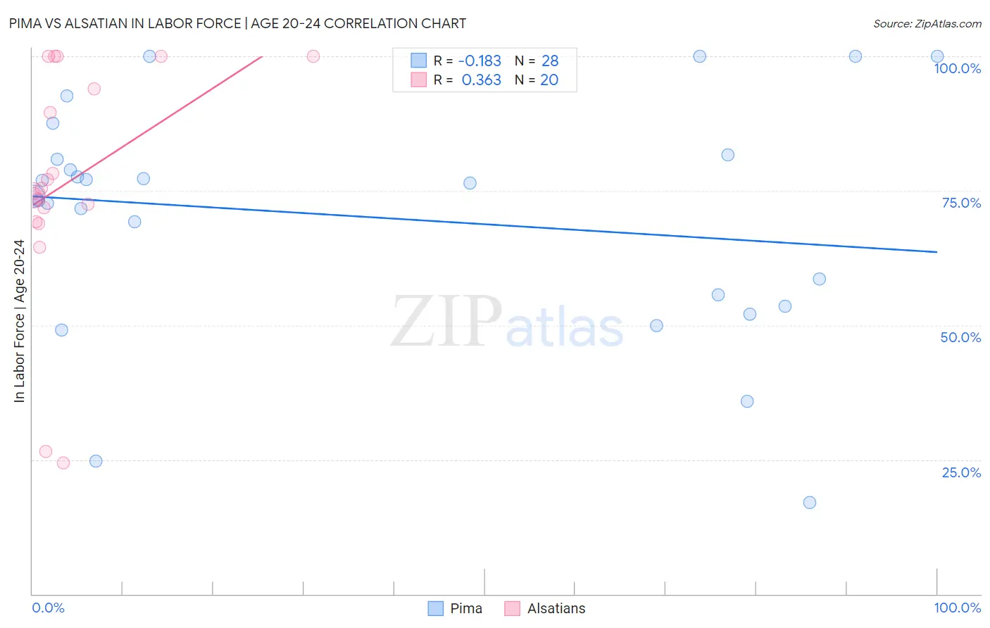 Pima vs Alsatian In Labor Force | Age 20-24