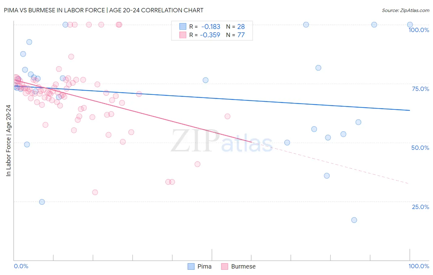 Pima vs Burmese In Labor Force | Age 20-24