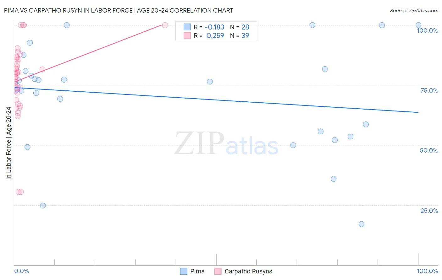 Pima vs Carpatho Rusyn In Labor Force | Age 20-24