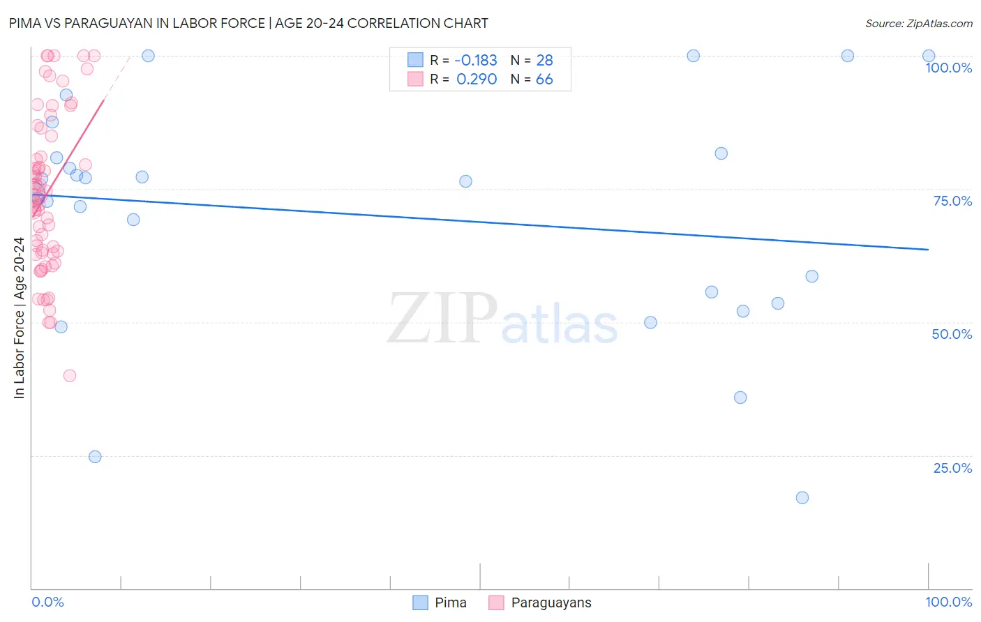 Pima vs Paraguayan In Labor Force | Age 20-24