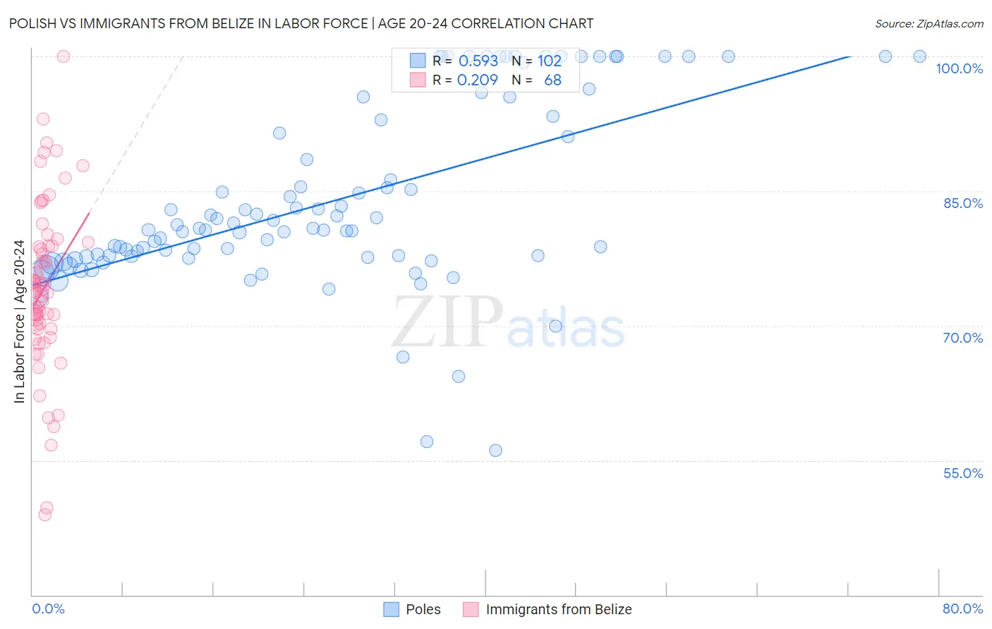 Polish vs Immigrants from Belize In Labor Force | Age 20-24