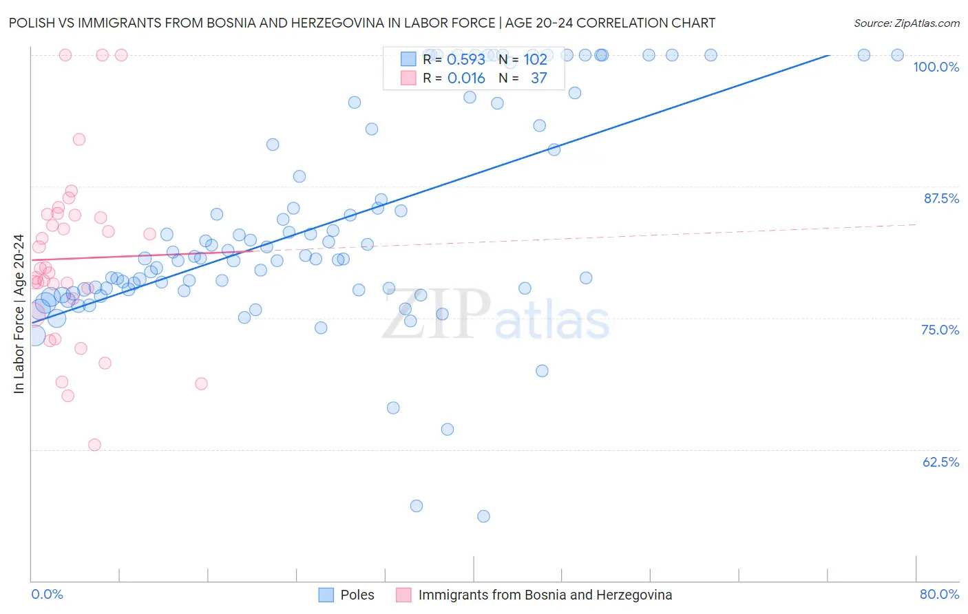 Polish vs Immigrants from Bosnia and Herzegovina In Labor Force | Age 20-24
