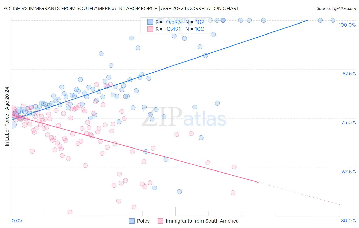 Polish vs Immigrants from South America In Labor Force | Age 20-24