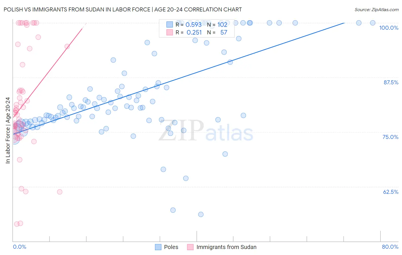 Polish vs Immigrants from Sudan In Labor Force | Age 20-24