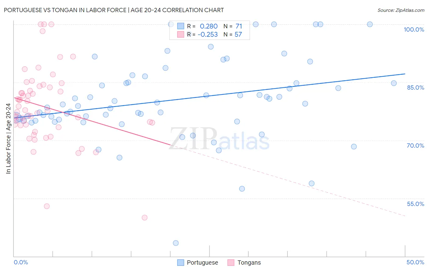 Portuguese vs Tongan In Labor Force | Age 20-24