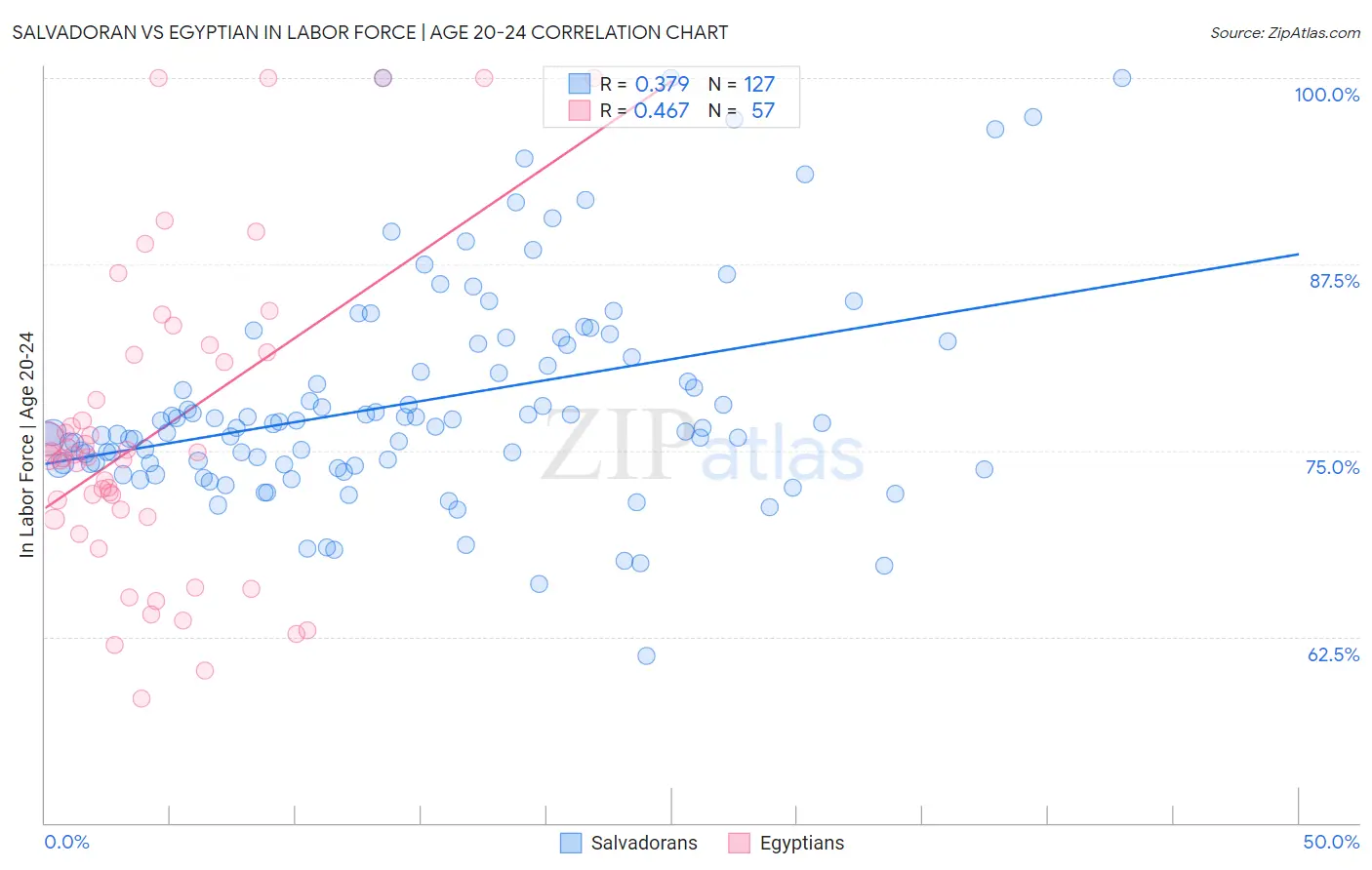 Salvadoran vs Egyptian In Labor Force | Age 20-24