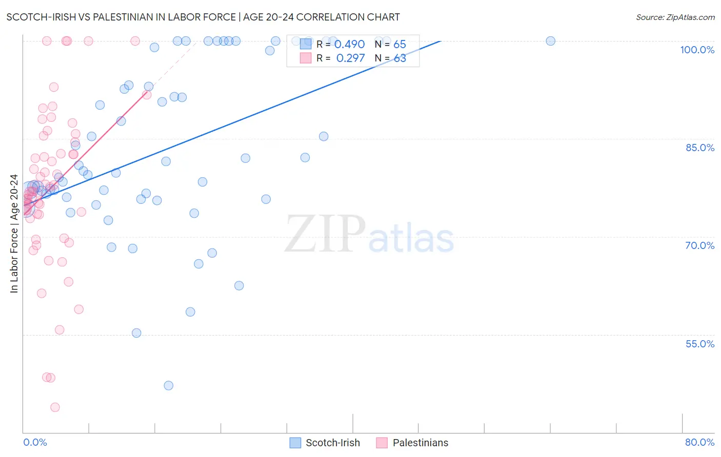 Scotch-Irish vs Palestinian In Labor Force | Age 20-24