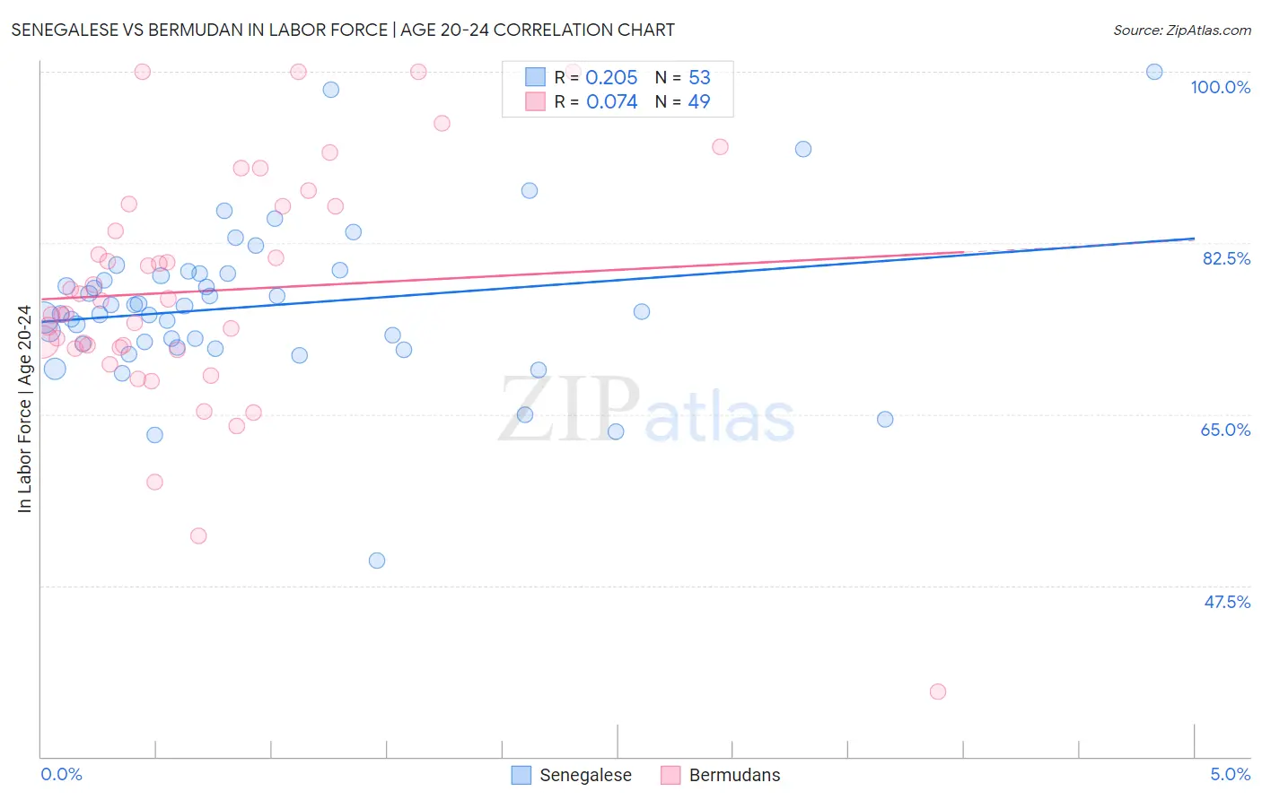 Senegalese vs Bermudan In Labor Force | Age 20-24