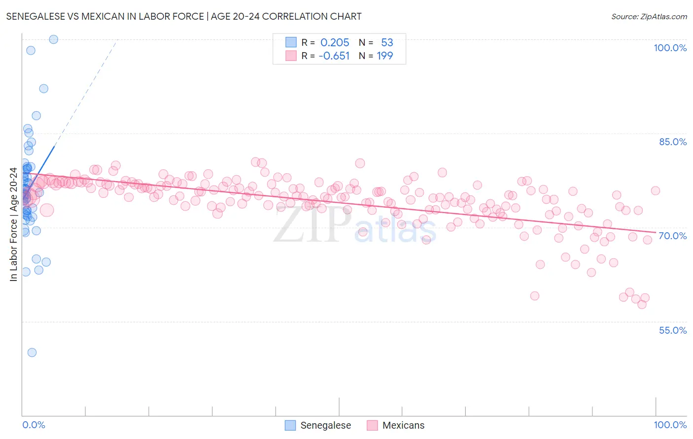 Senegalese vs Mexican In Labor Force | Age 20-24