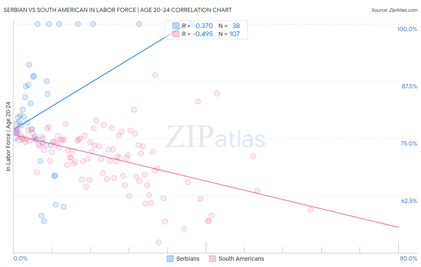 Serbian vs South American In Labor Force | Age 20-24