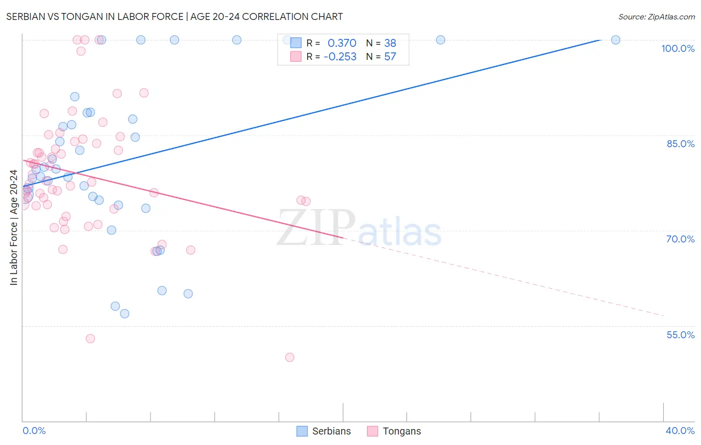 Serbian vs Tongan In Labor Force | Age 20-24