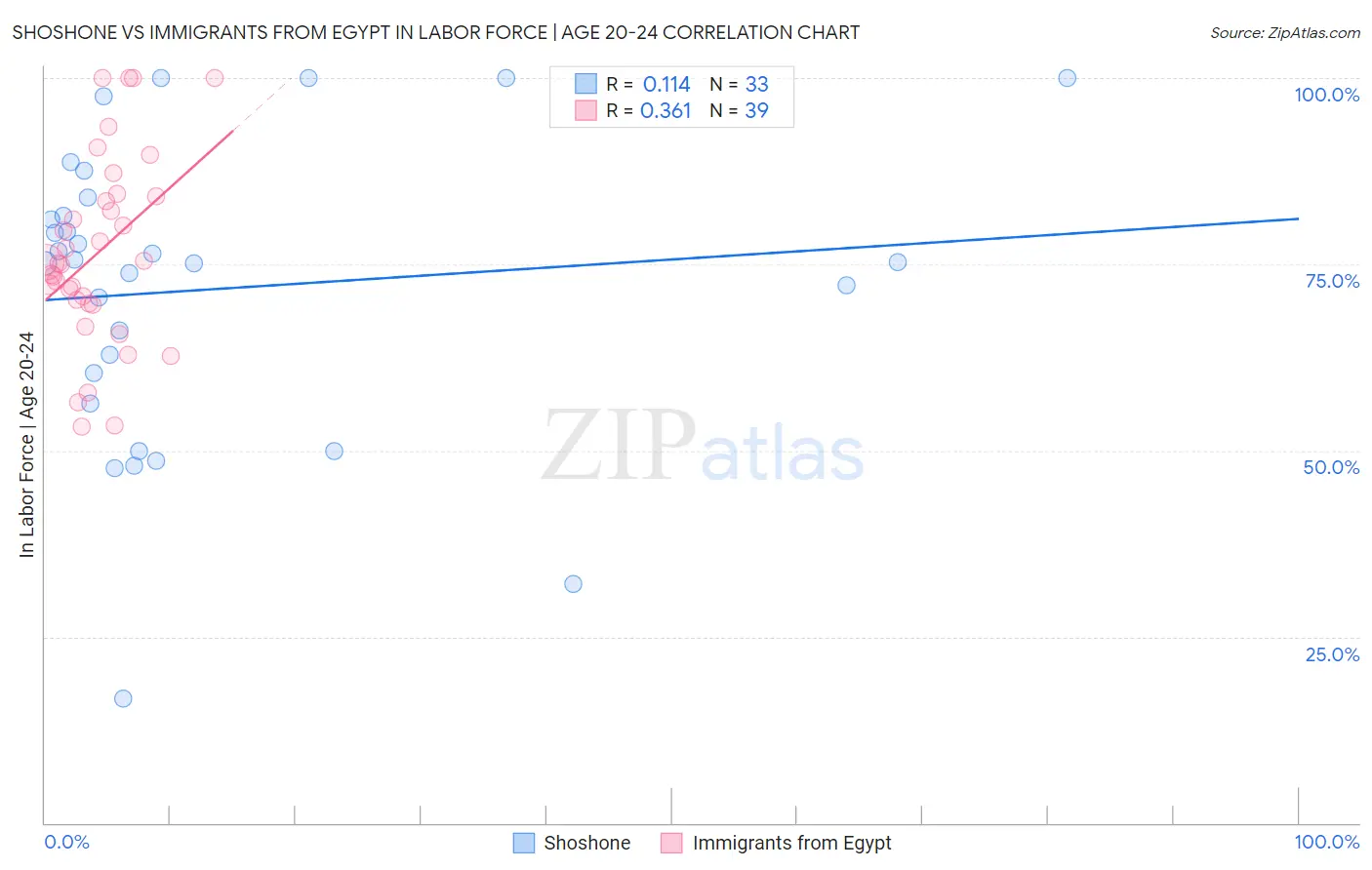 Shoshone vs Immigrants from Egypt In Labor Force | Age 20-24