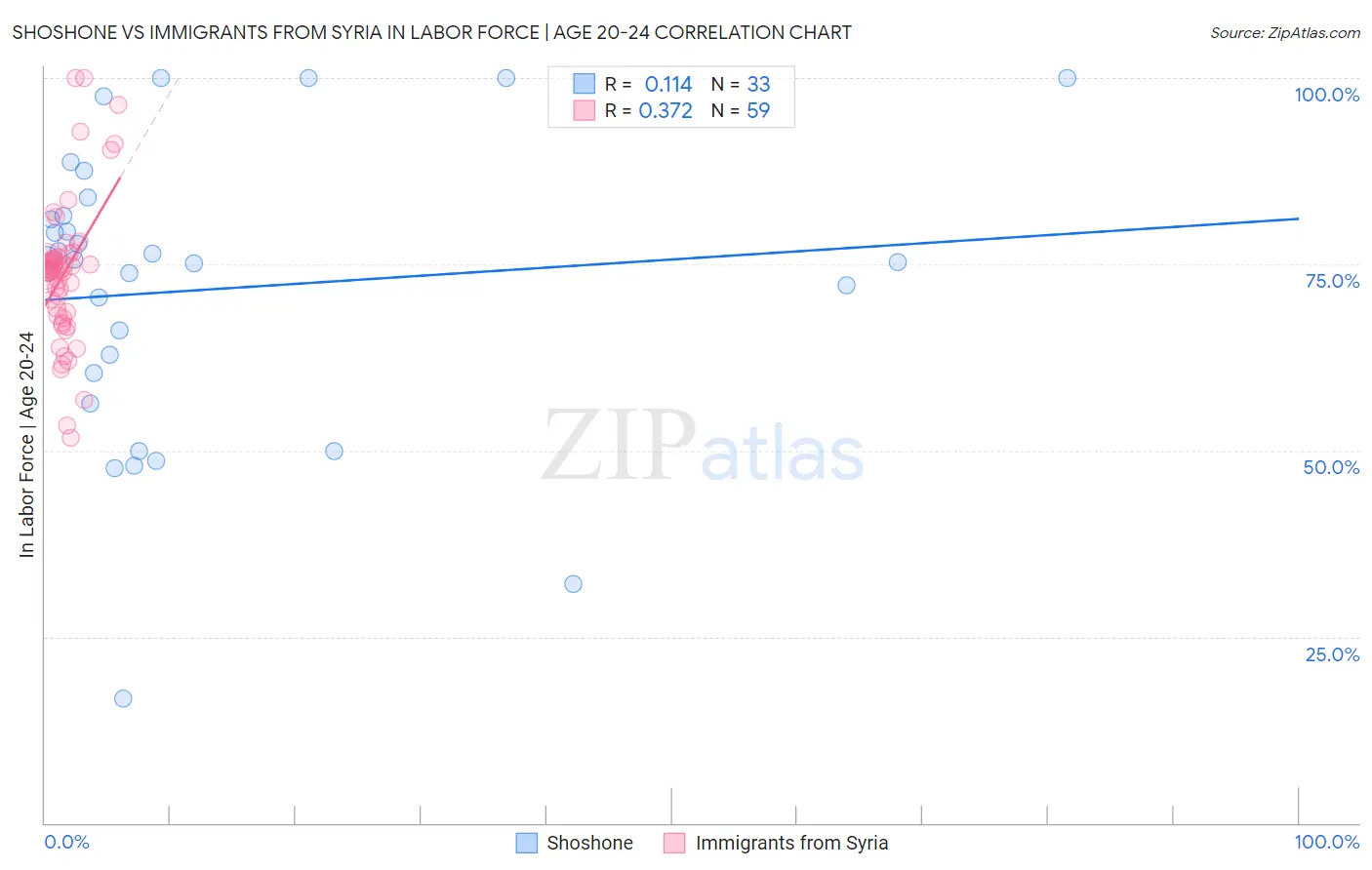 Shoshone vs Immigrants from Syria In Labor Force | Age 20-24