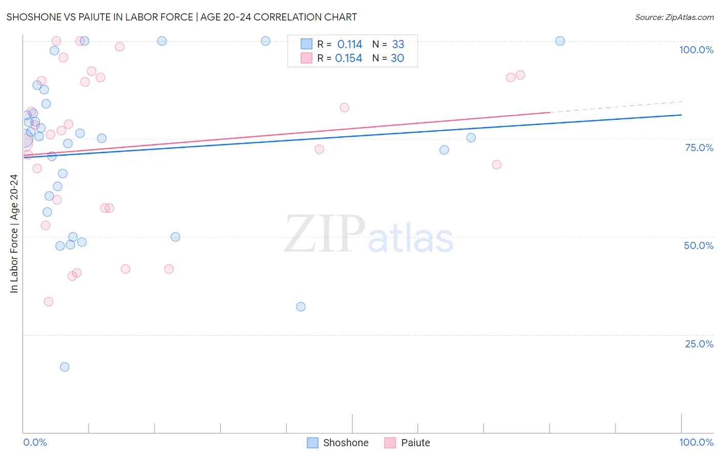 Shoshone vs Paiute In Labor Force | Age 20-24