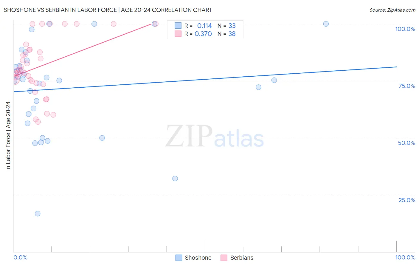 Shoshone vs Serbian In Labor Force | Age 20-24