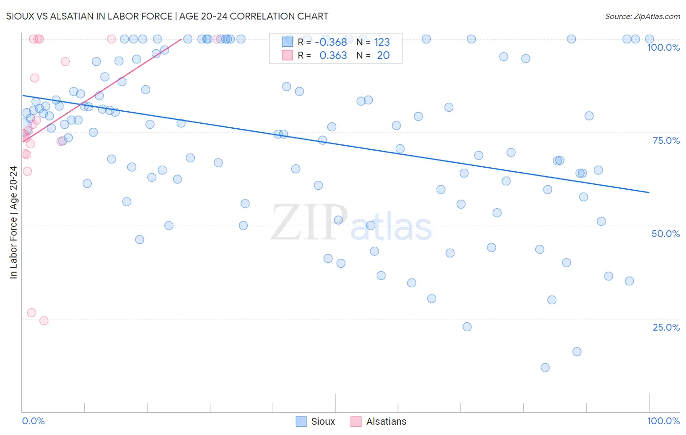 Sioux vs Alsatian In Labor Force | Age 20-24