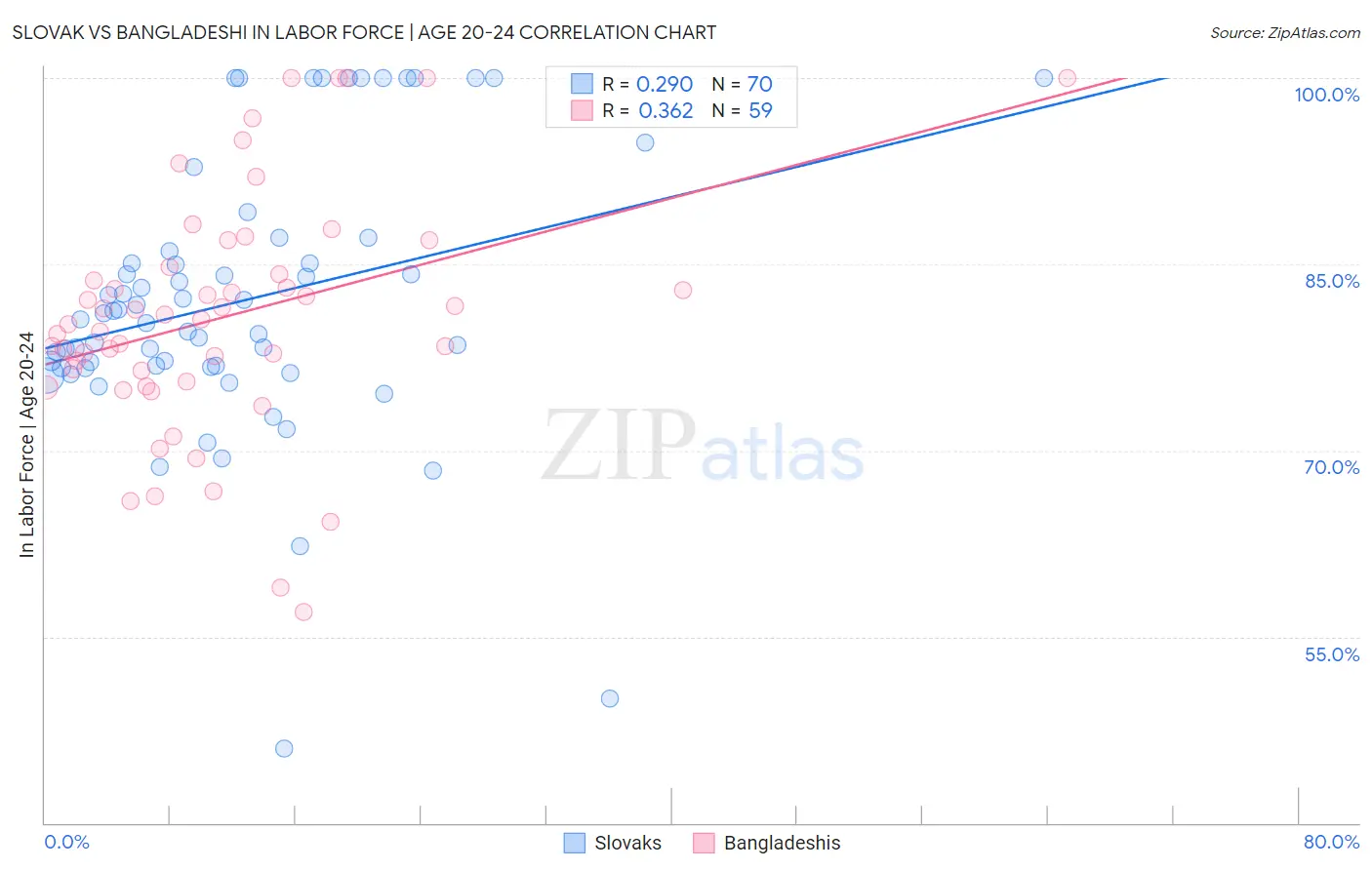 Slovak vs Bangladeshi In Labor Force | Age 20-24