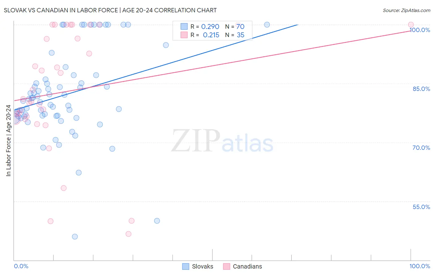 Slovak vs Canadian In Labor Force | Age 20-24