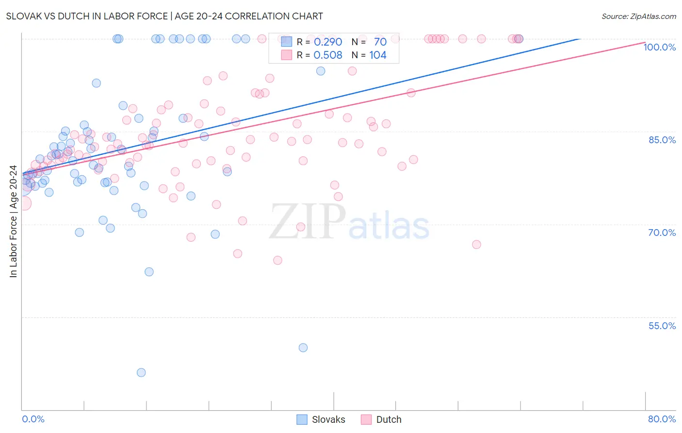 Slovak vs Dutch In Labor Force | Age 20-24