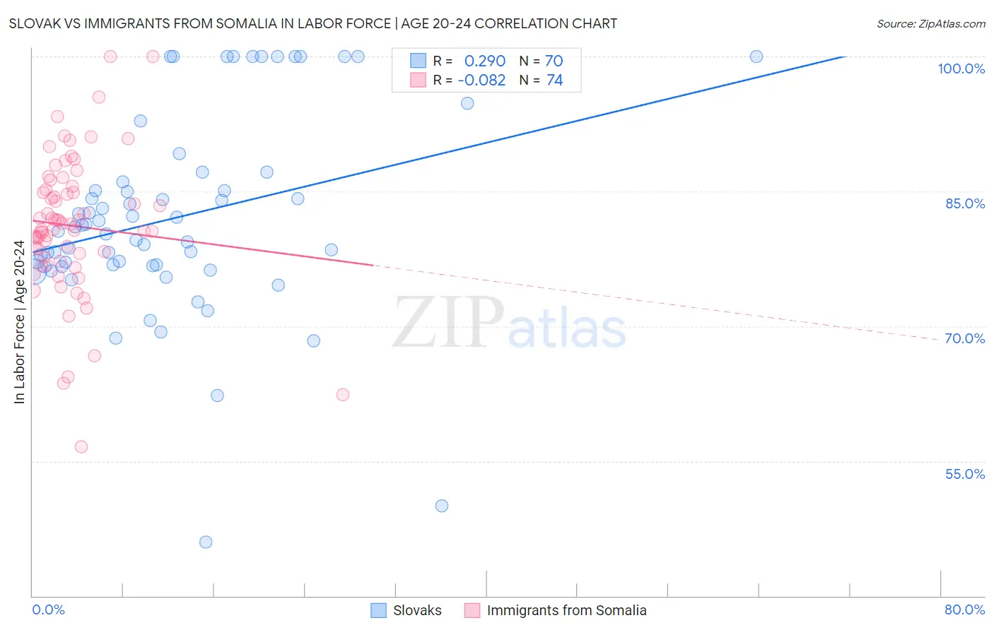 Slovak vs Immigrants from Somalia In Labor Force | Age 20-24