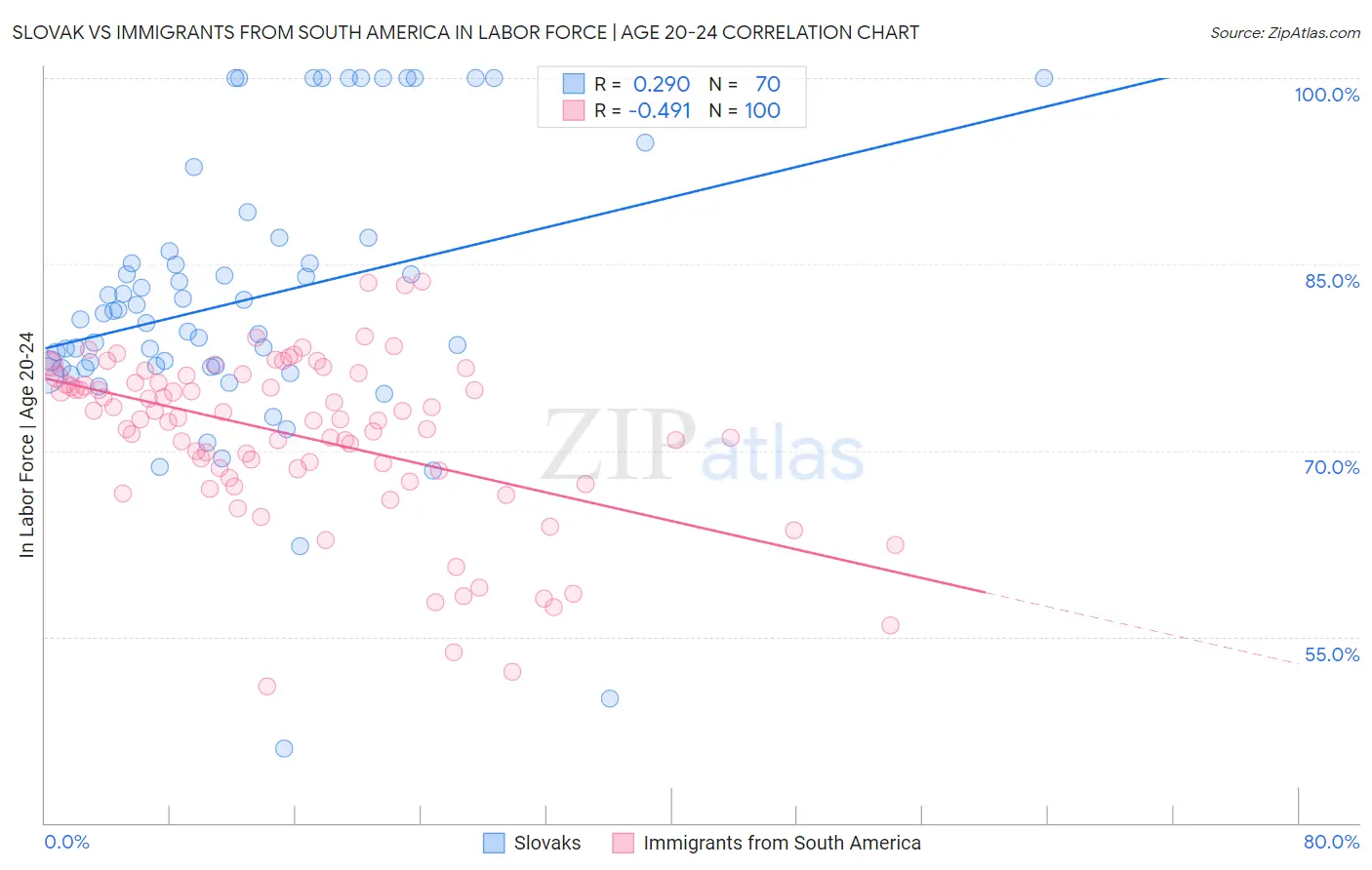 Slovak vs Immigrants from South America In Labor Force | Age 20-24