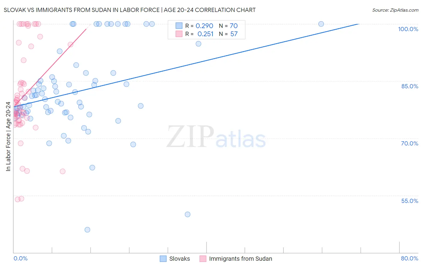 Slovak vs Immigrants from Sudan In Labor Force | Age 20-24