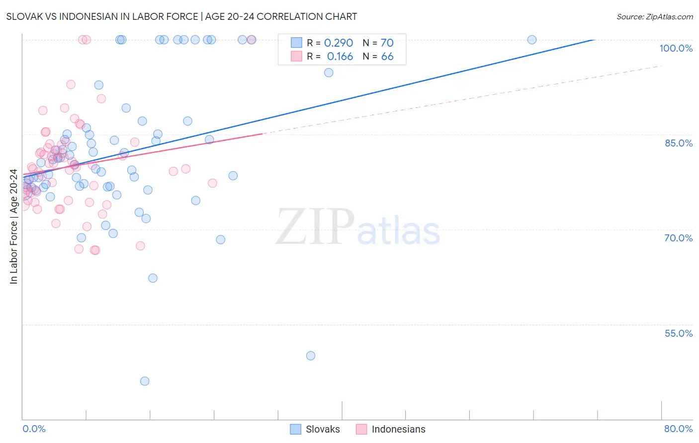 Slovak vs Indonesian In Labor Force | Age 20-24