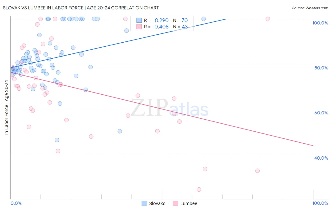 Slovak vs Lumbee In Labor Force | Age 20-24