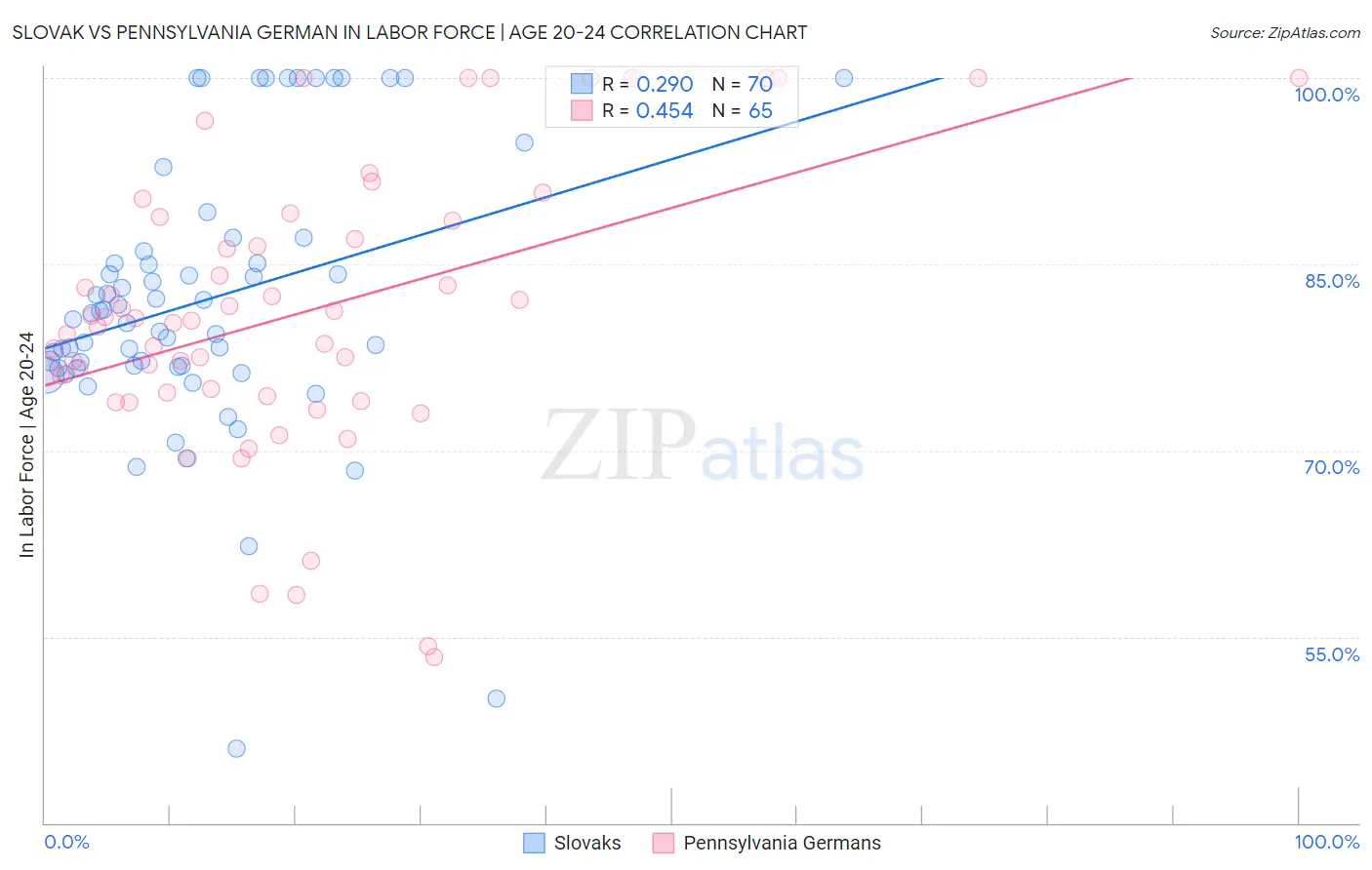 Slovak vs Pennsylvania German In Labor Force | Age 20-24