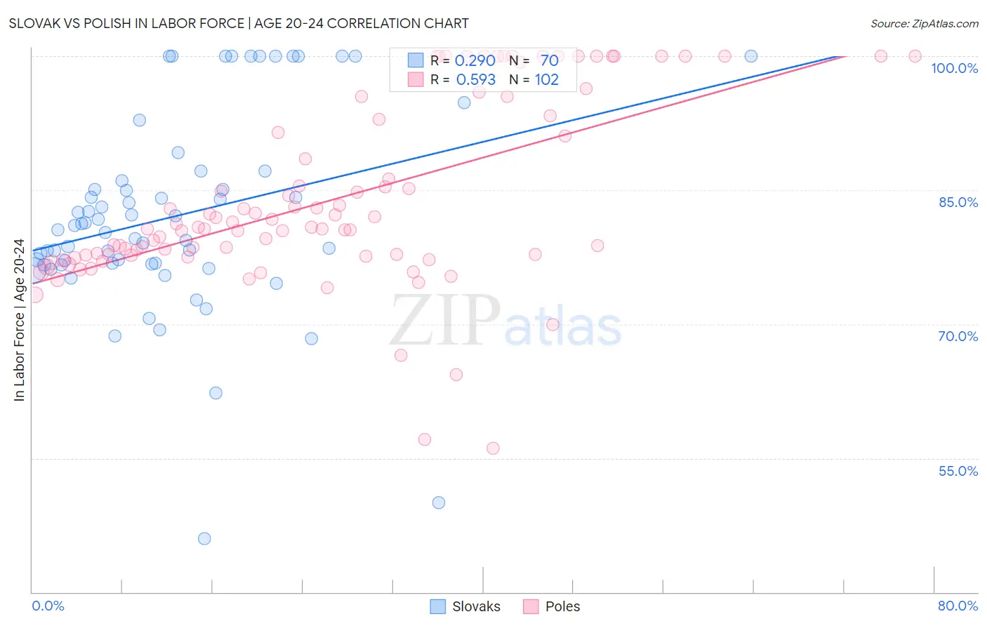 Slovak vs Polish In Labor Force | Age 20-24