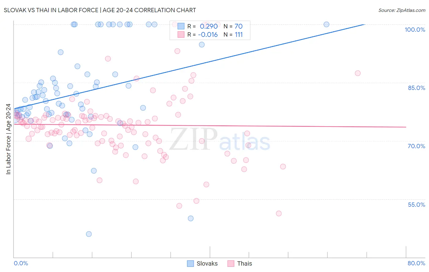 Slovak vs Thai In Labor Force | Age 20-24