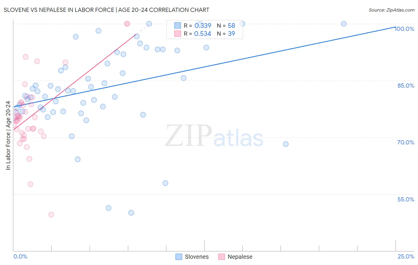 Slovene vs Nepalese In Labor Force | Age 20-24