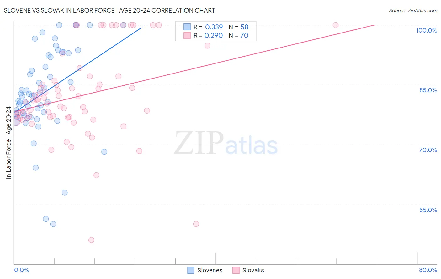 Slovene vs Slovak In Labor Force | Age 20-24