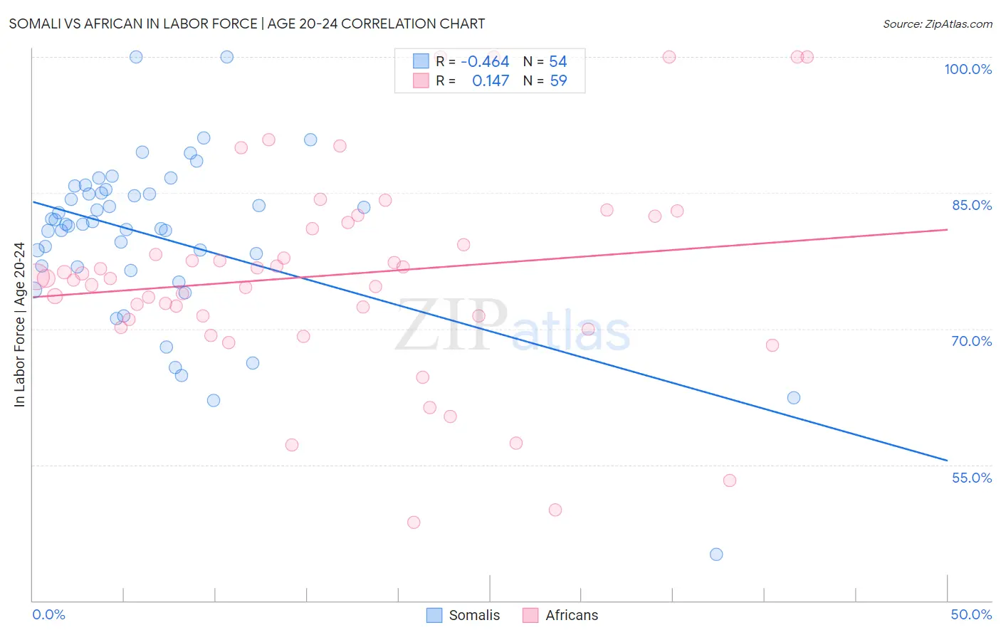 Somali vs African In Labor Force | Age 20-24