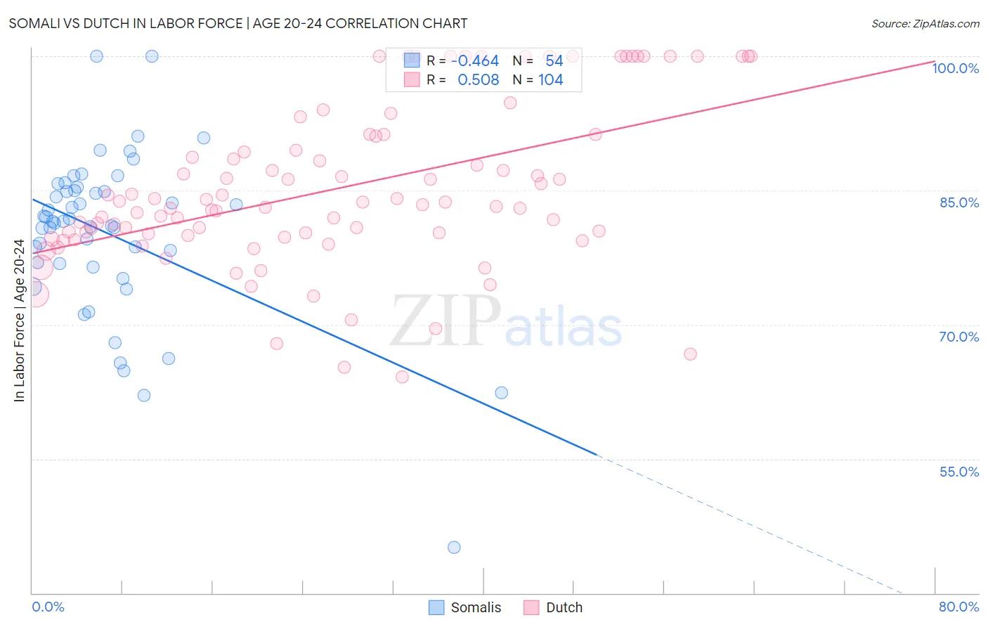 Somali vs Dutch In Labor Force | Age 20-24