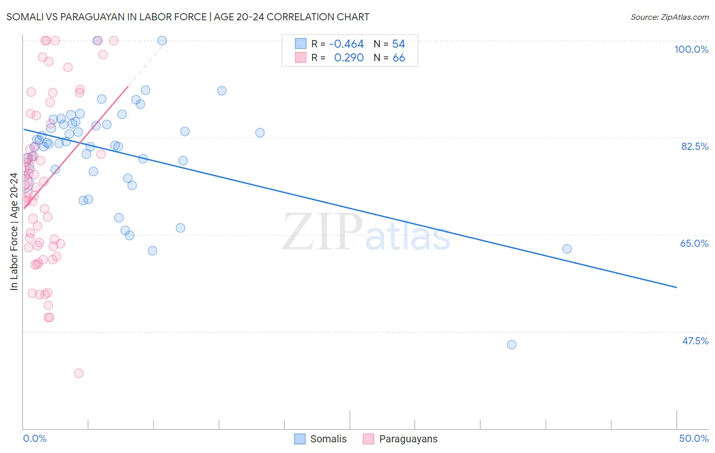 Somali vs Paraguayan In Labor Force | Age 20-24