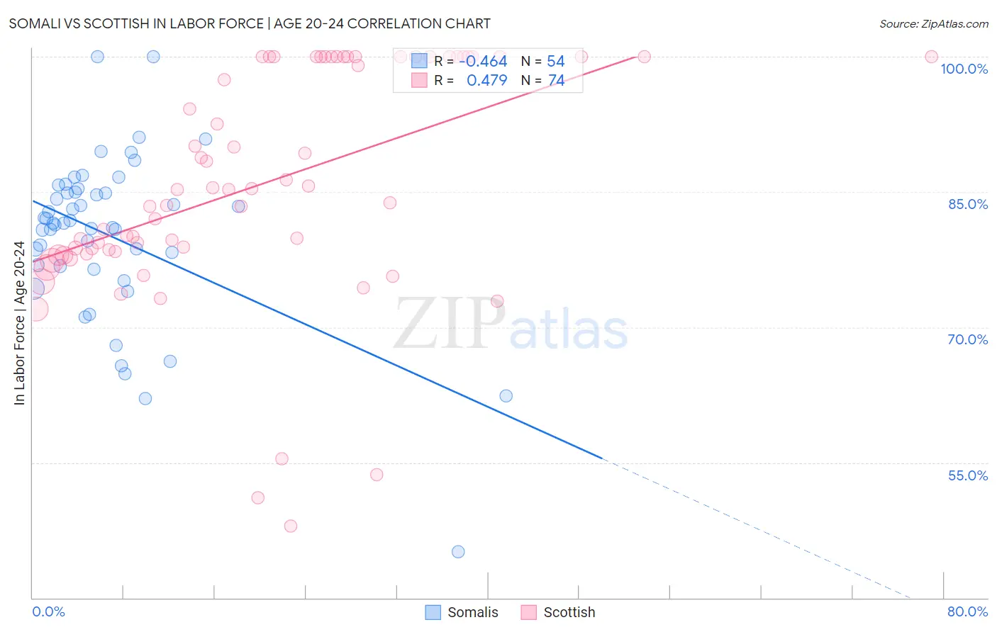 Somali vs Scottish In Labor Force | Age 20-24