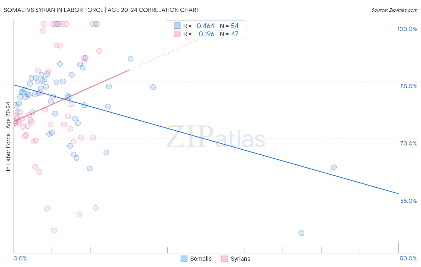 Somali vs Syrian In Labor Force | Age 20-24